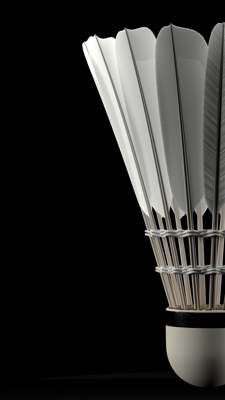 的竞技舞台 的竞技舞台