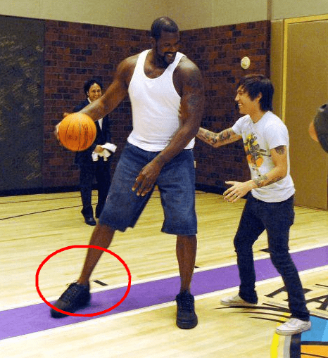 资格的野心 资格的野心